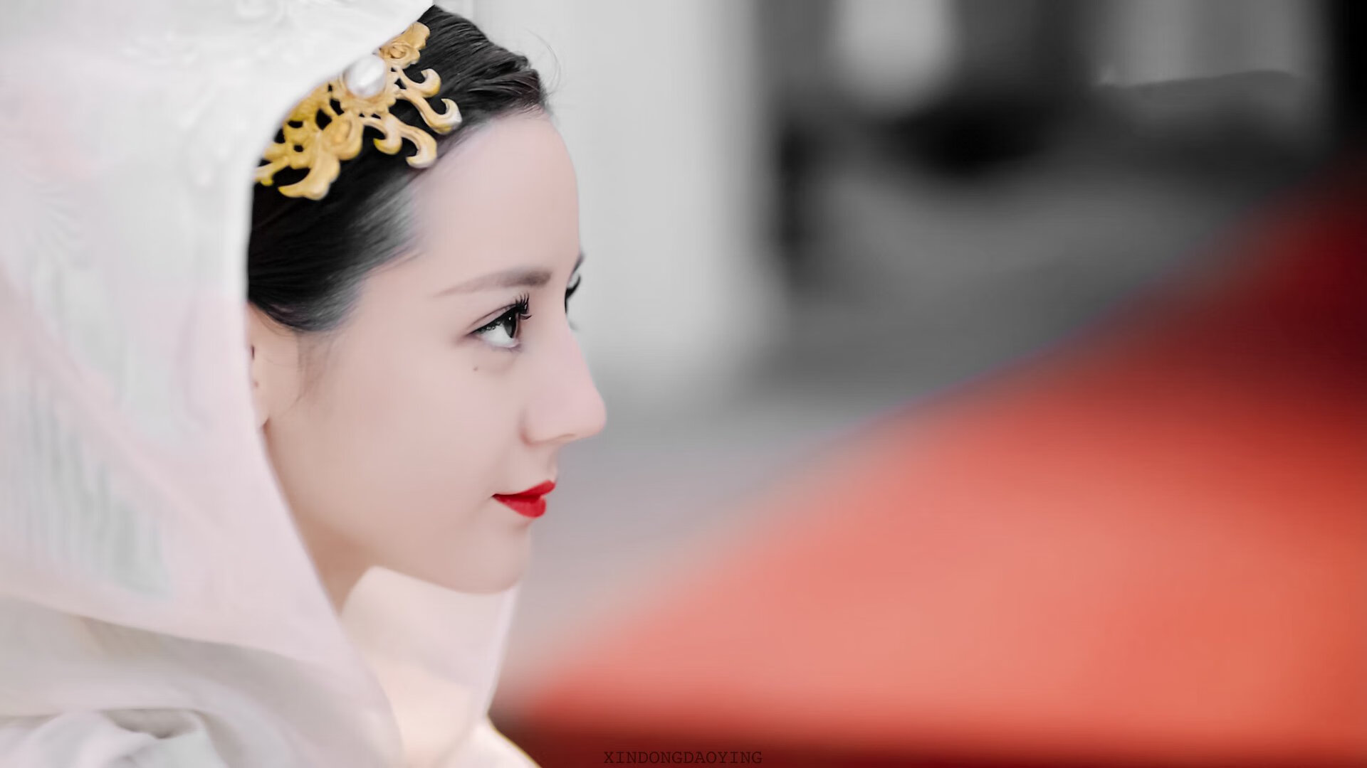 帕利斯特女子800米自由泳赛场新星，女子800米自由泳决赛视频