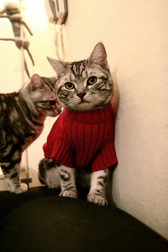 库里命中七记三分率队晋级，库里命中了多少记三分